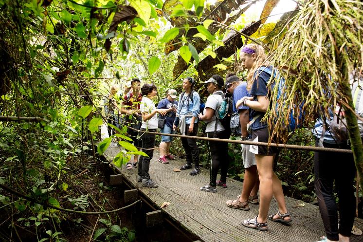 LU student group in Costa Rica on a bridge with greenery - A group of students stands on a narrow boardwalk in dense tropical greenery. Several wear backpacks and look toward a guide speaking near the front. Vines and broad leaves hang overhead, surrounding the path on both sides. A rope handrail lines the walkway through the shaded forest.