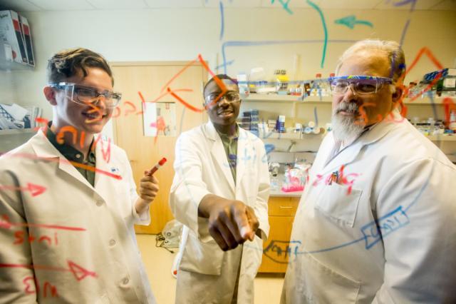 Students working in the lab with a professor