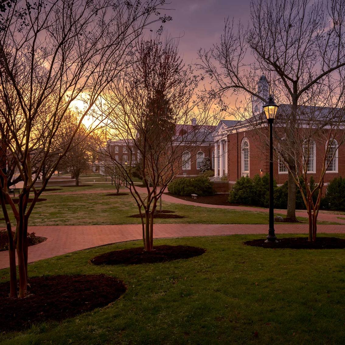 With the last sunlight of the day illuminating the red brick and classic white columns, dusk is one of the best times to capture the true beauty of campus in a photograph.
