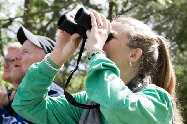 Young woman outdoors looking through binoculars, with another person behind her also observing. Sunlight filters through trees in a wooded setting. She wears a green long-sleeve shirt and bracelets while holding the binoculars. Scene suggests birdwatching or nature observation activity.